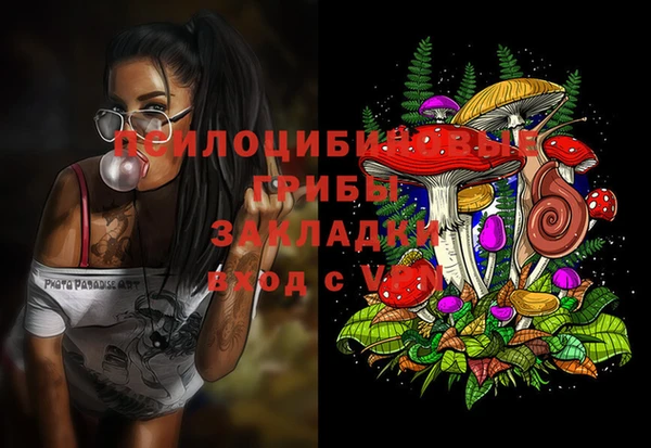 гидропоника Бородино