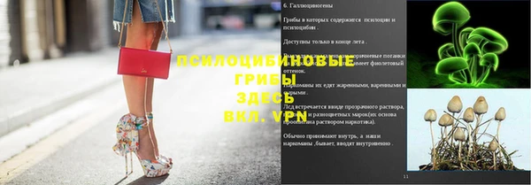 гидропоника Бородино