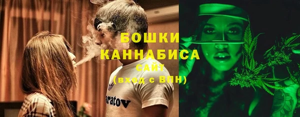 гидропоника Бородино