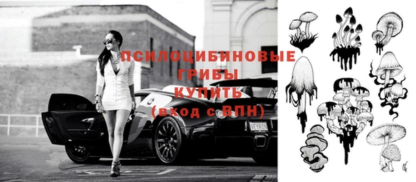 гидропоника Бородино